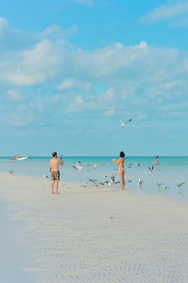Villas El Encanto Holbox Exteriör bild